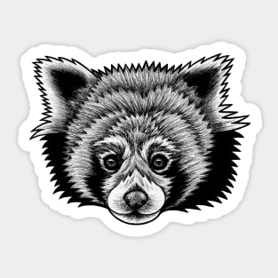 Red panda - ink illustration Sticker